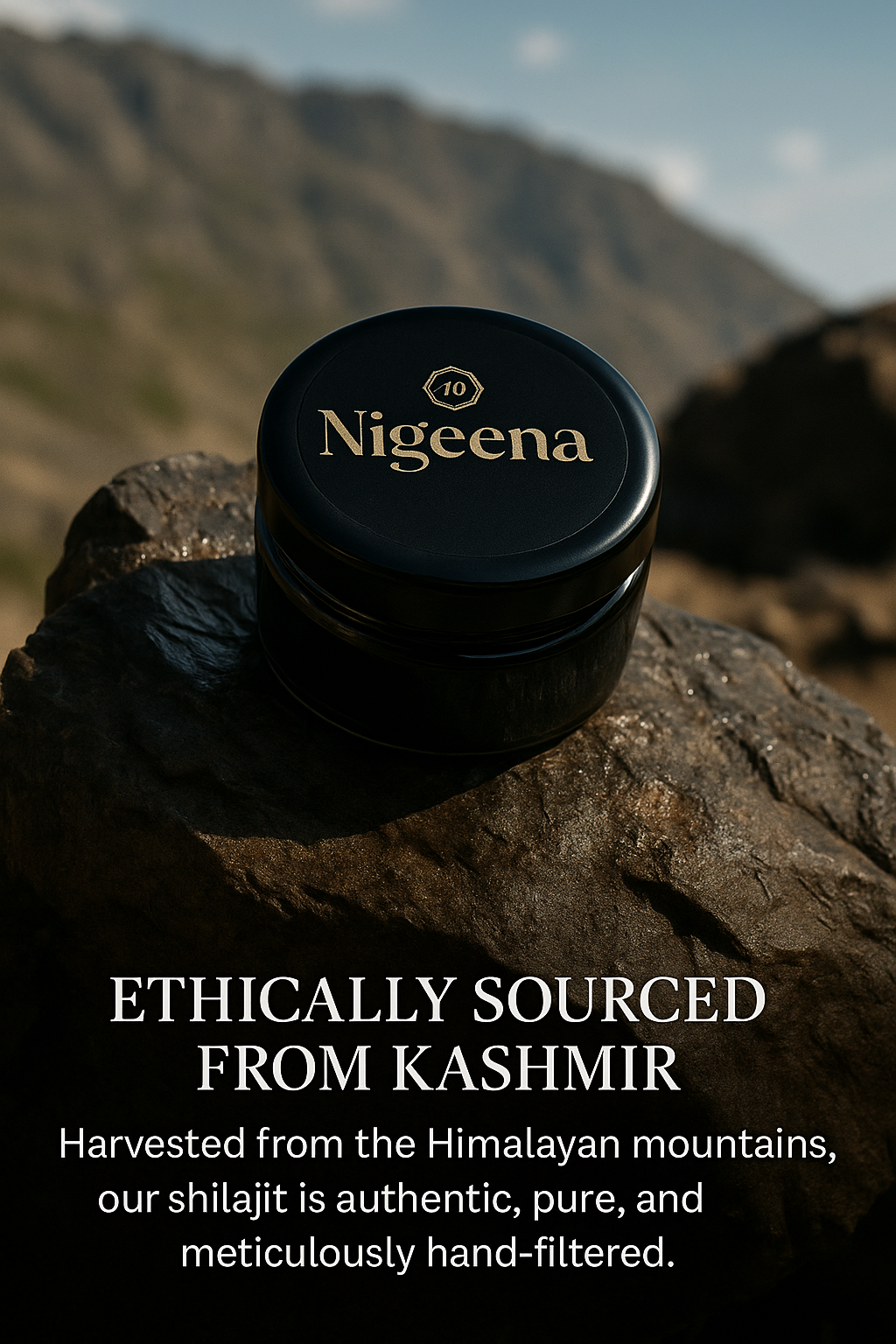 Nigeena® Pure Kashmiri Shilajit (20gm)
