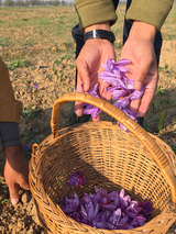 Nigeena® Pure Kashmiri Saffron (Kesar) Premium Grade Threads