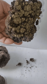 Shilajit Gold Pure Himalayan Kashmiri Shilajit